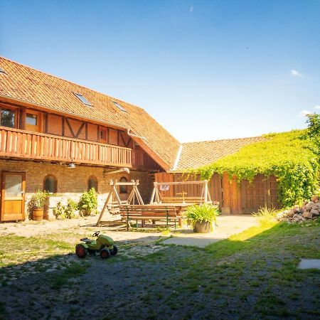 Bauernhof Lisa Offenstall Und Taubenschlag Wienrode Exteriér fotografie